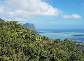 Le morne Tamarin Viewpoint