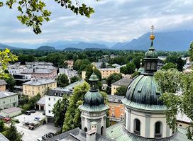 Reißzug