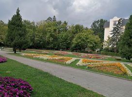 Zăvoi