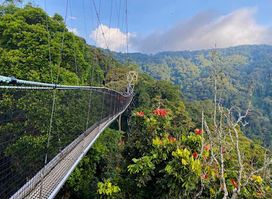 Nyungwe Forest National Park