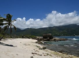 Snorkeling in Therese