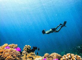 Atoll Dives