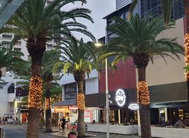 The Avenue - Surfers Paradise