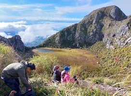 Mt. Apo's Crater