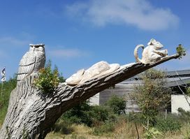 Provinciaal bezoekerscentrum Duinpanne
