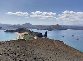 Galapagos Ecuadoors