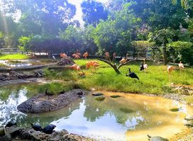 Zoológico de Barranquilla