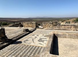 Site Archéologique de Volubilis