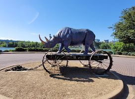 The Blue Rhino
