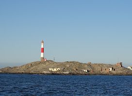 Zeepaard Boat Tours