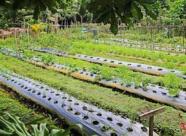 Bayatakan Farm Experience