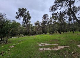 Dibeen Forest Sanctuary