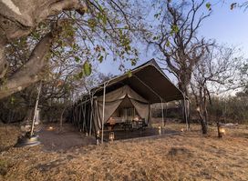 Machaba Camp - Machaba Safaris
