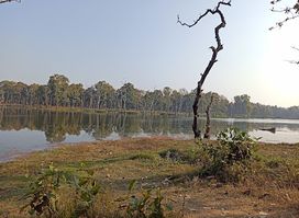 Batuli pokhari madhyawarti samudaayik ban upabhoktaa samuha
