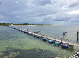 San Vicente Marine Sanctuary