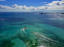 Saint Martin Surf Club
