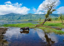 Lake of No Return