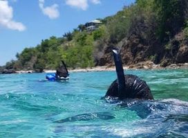 Culebra Snorkel with Locals
