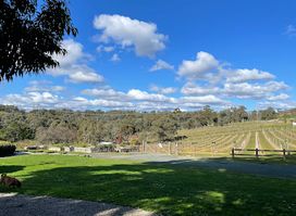 Rob Dolan Wines