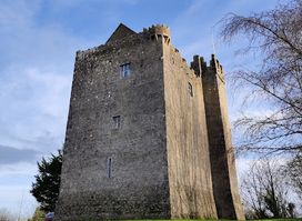 Redwood Castle