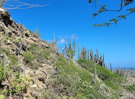 Hooiberg Lookout