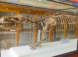 Egyptian Geology Museum