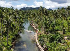 Maasin Bridge River Swing