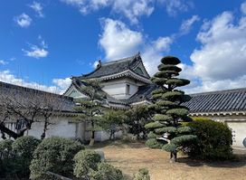 Wakayama Castle