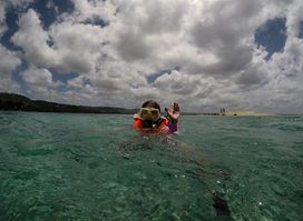 Vanuatu Ecotours