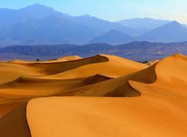 Camel Trekking Morocco Tours