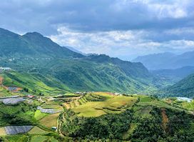 Biển Mây Ô Quý Hồ Sa Pa