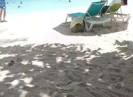 Pigeon Point Beach Facility