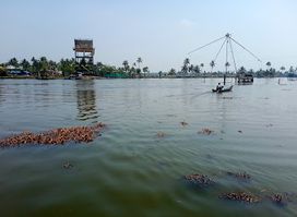 Kadamakudy View Point