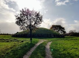 Jættestuen grønhøj