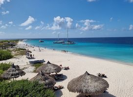 BlueFinn Charters Curacao