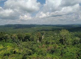 Phnum Prech Wildlife Sanctuary
