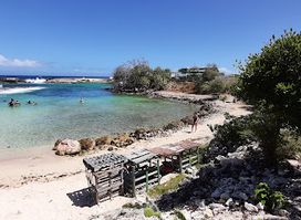 CURACAO BUGGY ADVENTURES
