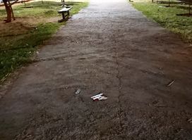 OLM South Garden