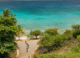 Beach Snorkel Culebra | Snorkel(swim) with Turtles in Culebra Island Puerto Rico