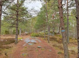 Hjertnesskogen