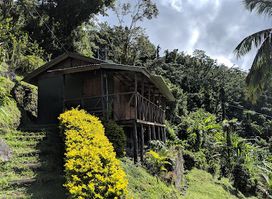 Nature's Cabin