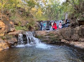 Bee Falls