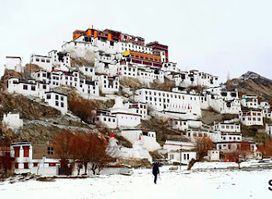 Wandering Wisdom Travel Company