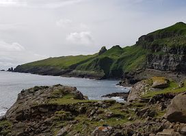 Víngarðurin