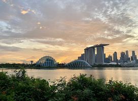 Gardens by the Bay East (Panoramic view)