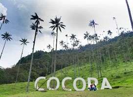 Cocora Valley