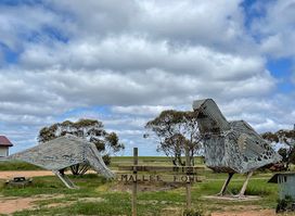The Big Mallee Fowl