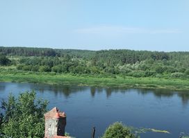 Daugavas loki
