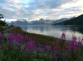 Famous NORWAY