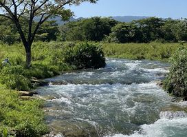 RastaSafari Experience
